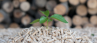 Wissenswertes Holzpellets