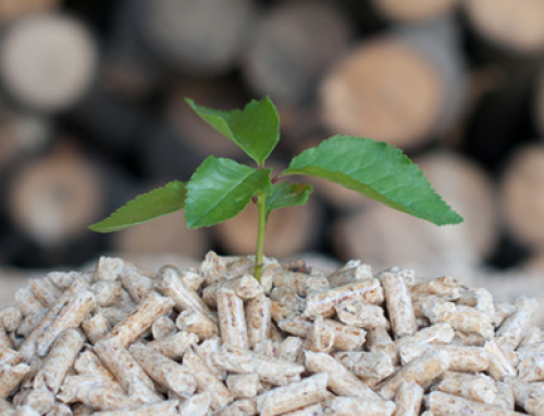 Wissenswertes über Holzpellets: Das sollten Sie beim Pellets kaufen wissen!